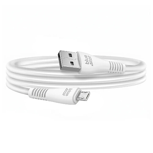 Bluestar Blue Star Câble Micro-USB vers USB-A 2A en Nylon Tressé 1.2m Noir