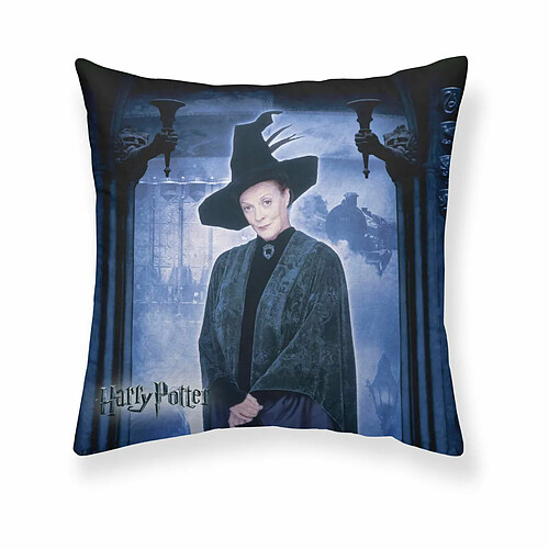 Harry potter Harry Potter McGonagall - 50 x 50 cm - Multicolore