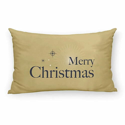 Harry Potter Merry Christmas Doré