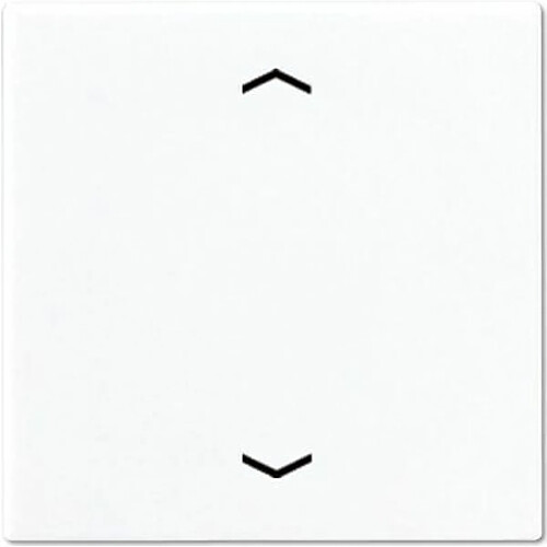 Jung A590PWW - Blanc