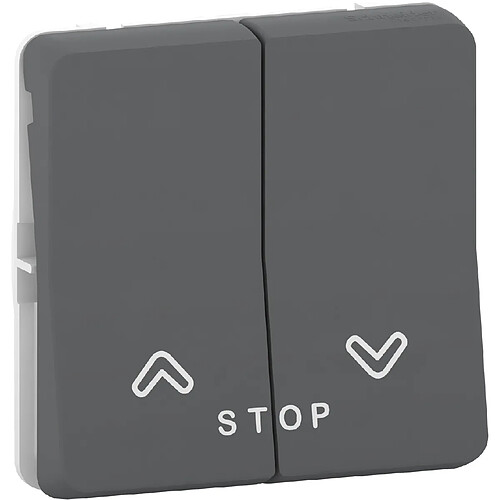 Schneider electric Mureva Styl - Gris