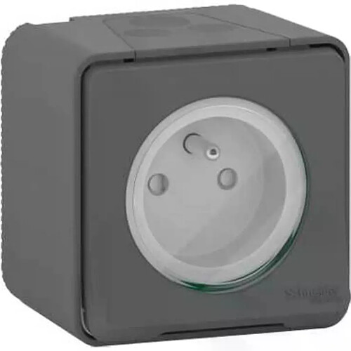 Schneider electric Mureva Styl - Gris