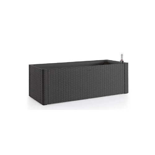 Stefanplast Bac à fleurs rotin - Anthracite