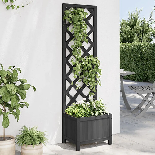 Vidaxl vidaXL Jardinière avec treillis 40x30x135 cm - Noir