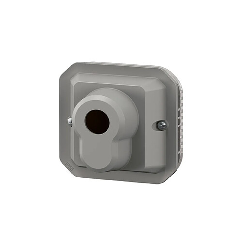 Legrand Plexo 069705L - Gris
