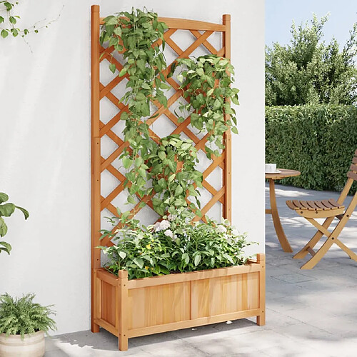 vidaXL Jardinière avec treillis bois de sapin 75x35x150 cm