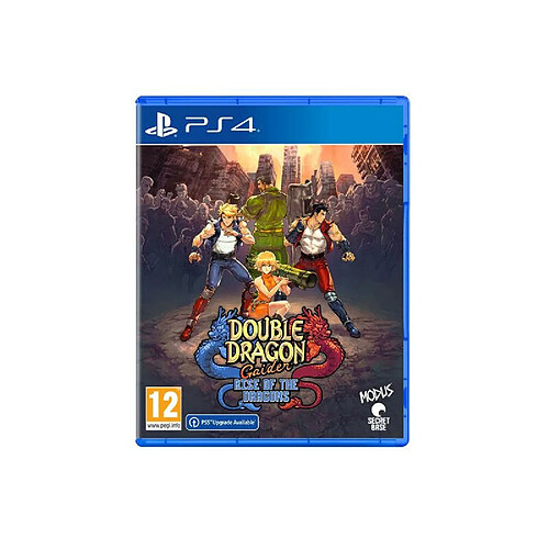 Just For Games Double Dragon Gaiden Rise of the Dragons - Jeu PS4
