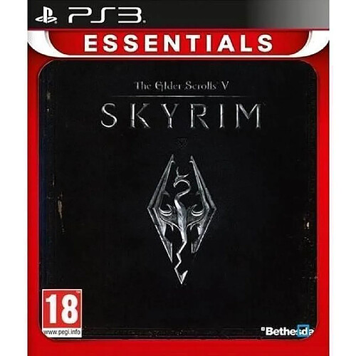 Jeu vidéo console Skyrim