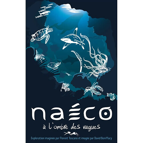 Opla Naeco à l'Ombre des Vagues