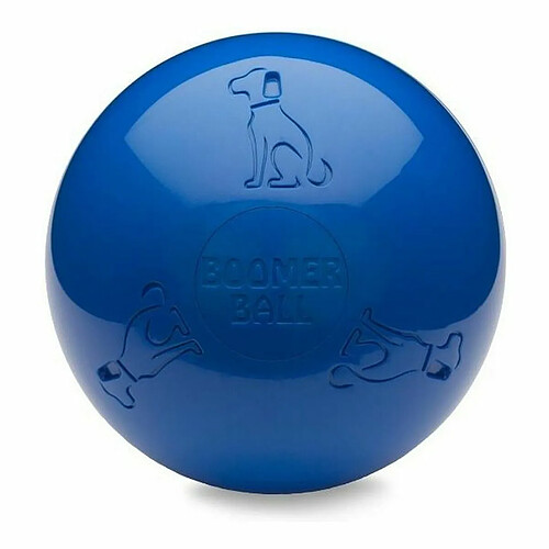 Company of Animals Boomer Bleu