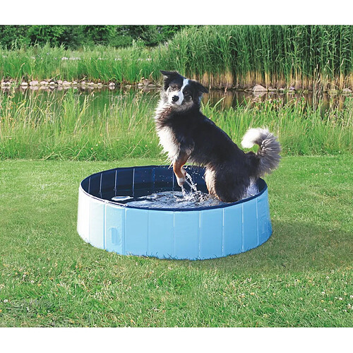 Trixie Piscine pour chien