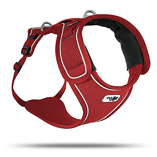 Curli Belka Harnais Rouge - Taille M