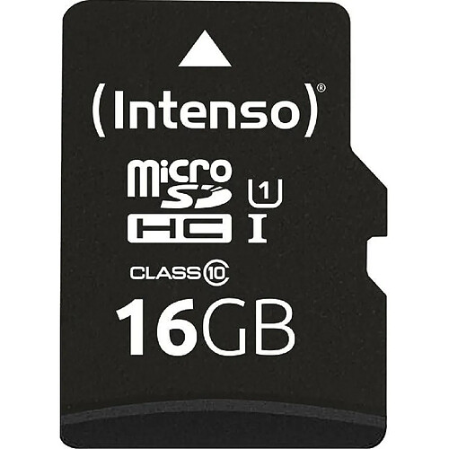 Ina Intenso MicroSDHC - 16 Go
