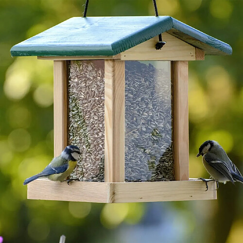 Dobar Mangeoire Oiseaux - 4 Noix De Coco Et 2 Pommes Géantes Naturelles Remplies De Graisse