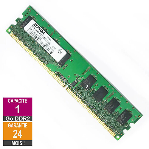 Elpida EBE10UE8AEFA-8G-E 1Go 800 MHz DDR2 · Reconditionné