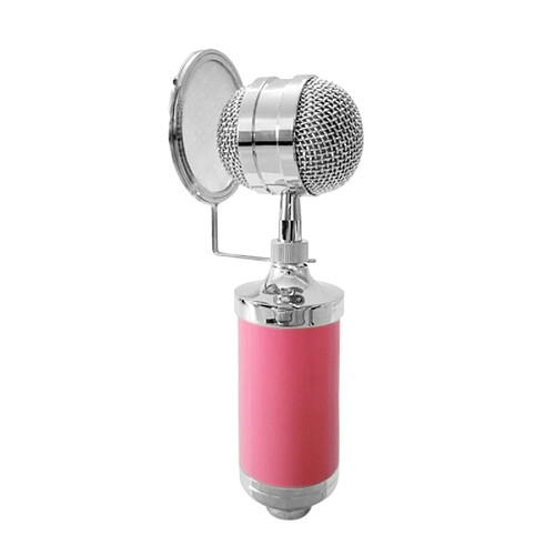 Wewoo 3000 Home KTV Mic - Rose