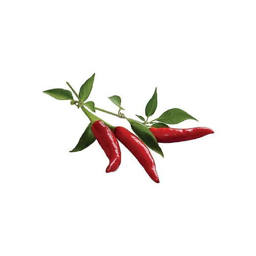 Click & Grow Smart Garden Piment