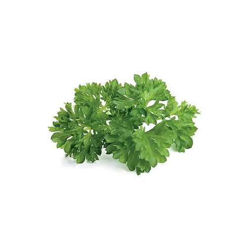 Click & Grow Click and Grow Recharge triple pour Smart Garden Persil