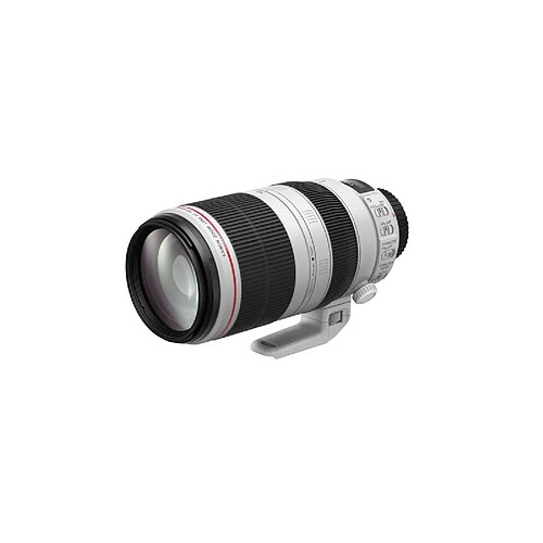 Canon EF 100-400mm f/4.5-5.6L IS II USM f/32 - f/4,5
