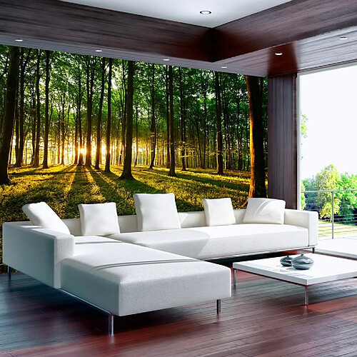 Paris Prix Papier Peint Spring: Morning in the Forest 70 x 100 cm