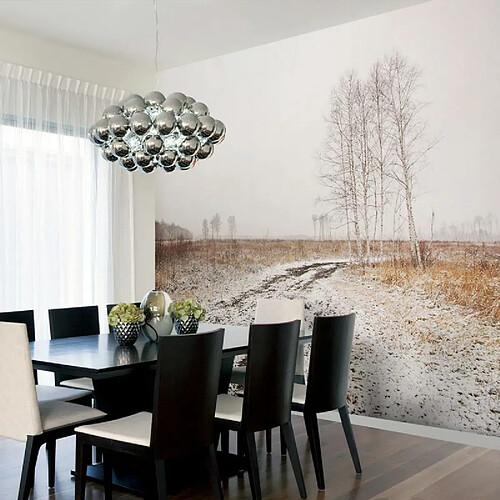 Paris Prix Papier Peint Winter Field 193 x 250 cm