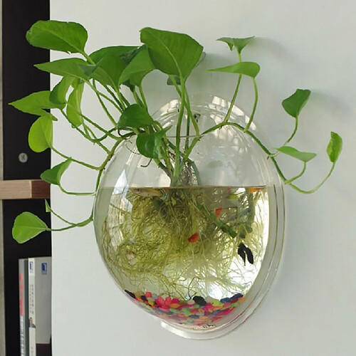 Aquarium Transparent Bocal à Poissons - Décoratif Pour Bureau, Salon, Salle De Bain | PET Durable, Visibilité 360°, Entretien Facile - 3