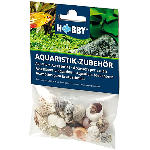 Lot de coquillages Hobby