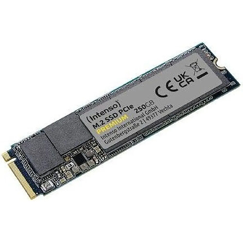 Intenso Premium 250 Go