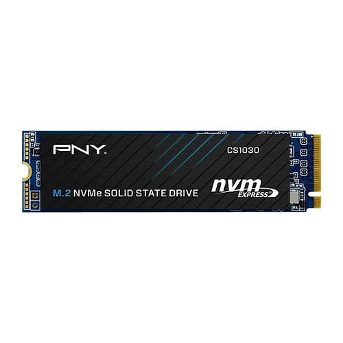 PNY CS1030 - 500 Go - SSD M.2