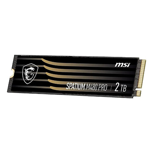 Msi Spatium M480 Pro 2To M.2
