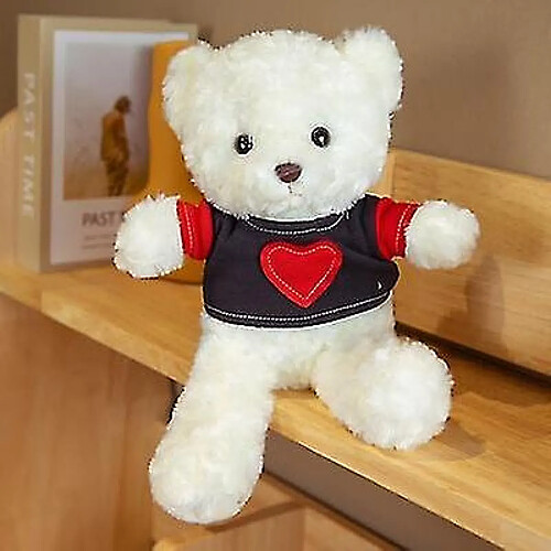 Ours en peluche avec pull