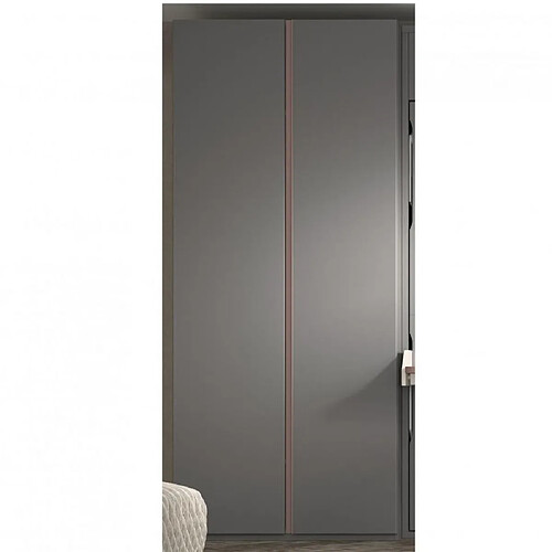 Inside 75 Armoire penderie 2 portes - Ardoise