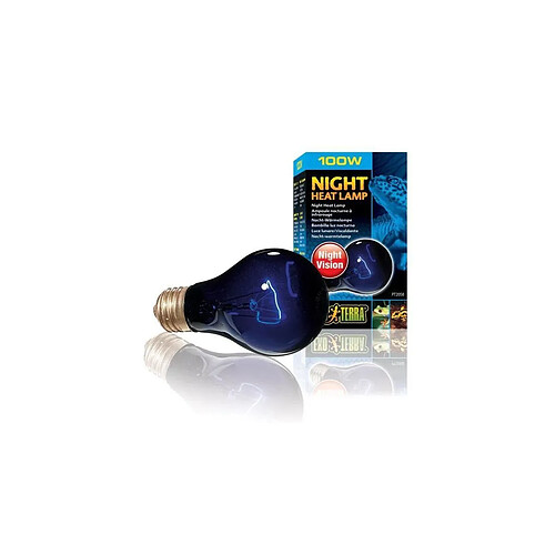 Exo Terra Ampoule Nocturne 100W