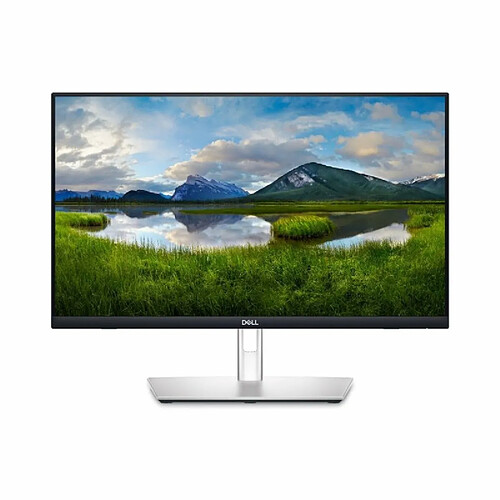 Dell 24" LCD IPS