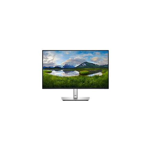 Dell 24" LCD IPS