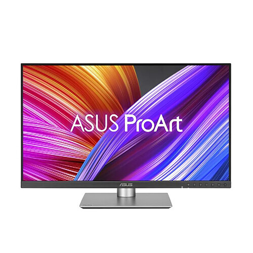 Asus 24" LCD - Proart