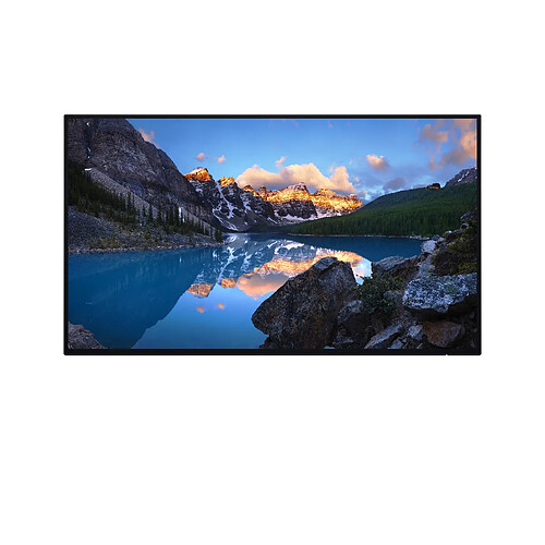 Dell 24" LED IPS