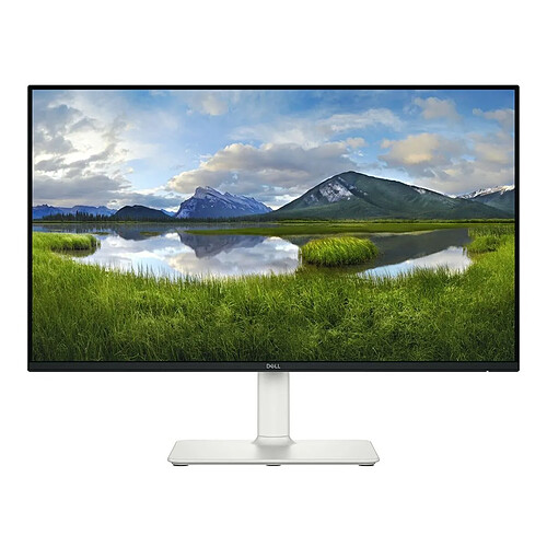 Dell 24" IPS