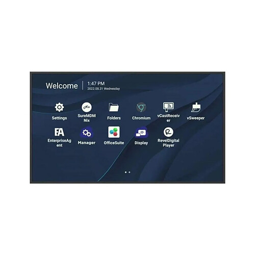 Viewsonic 65" LCD