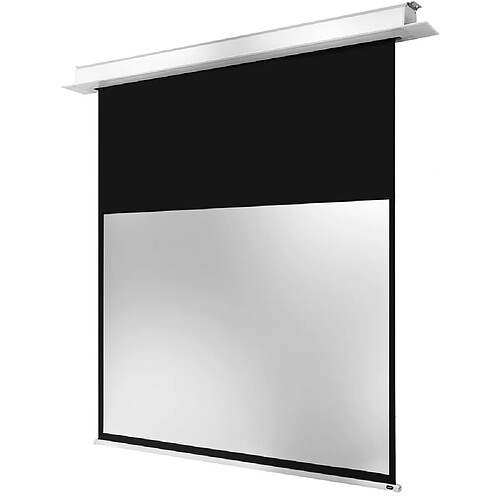 Celexon Pro Plus - 240 x 150 cm