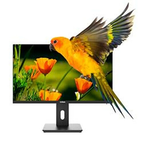 Nilox 24" LED