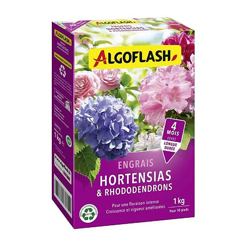 Algoflash Engrais Hortensias et Rhododendrons