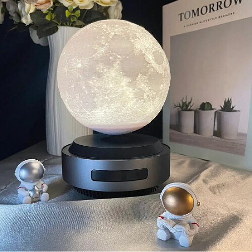 Magneticland Moonflight