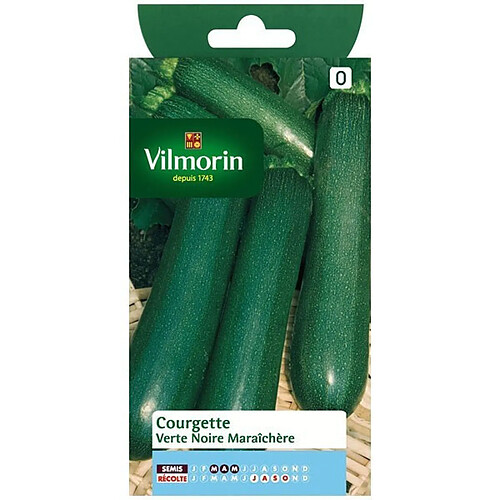 Courgette Verte Noire Maraichere Vilmorin