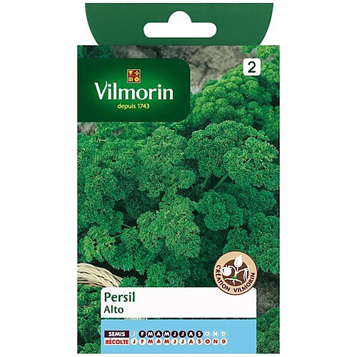 Vilmorin Graines Persil Alto