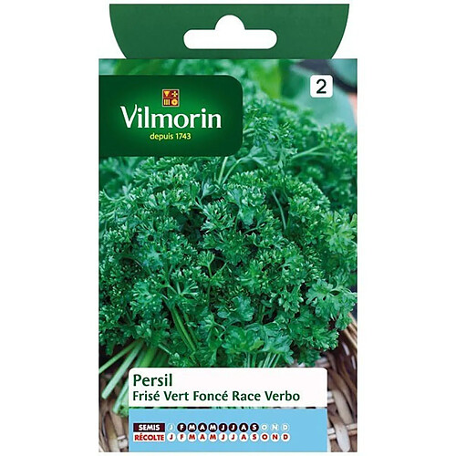 Vilmorin Graines Persil Verbo