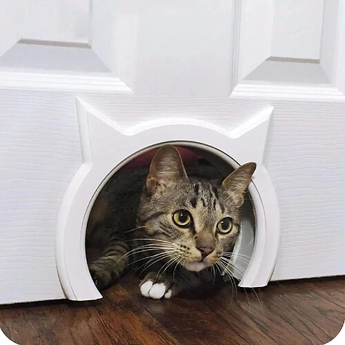 Rabat de Porte intérieur pour Chat, litière cachée pour Animal Domestique