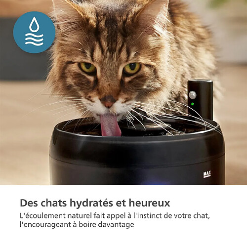 Fontaine à Eau - Pet Series, Fontaine Chat Intelligente, Bol Anti-Déversement, Surveillance