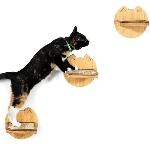 Arbre à chat maisonnette