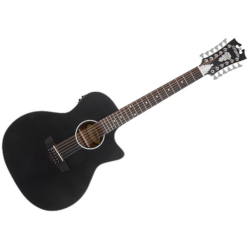Premier Fulton LS Matte Black 12 cordes D'Angelico